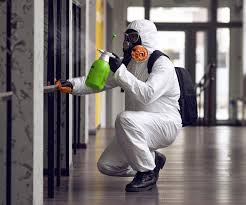 Trusted Coburg, OR Mold Removal Services Experts